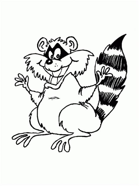 raccoon coloring pages  printable