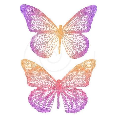 butterfly clip art  detailed wings digital clipart etsy
