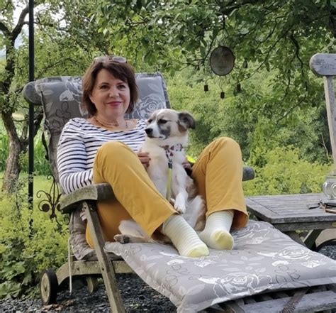 Top Hundeurlaub Unterkunftstipps Für Ein Böllerfreies Silvester Mit Hund