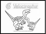 Coloring Dinosaur Velociraptor Printable Pages sketch template
