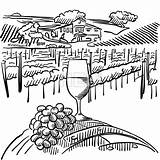 Rebe Vigne Collines Foreground Weinberg Fass Vines Trauben Vignoble Verre Hebstreits Vecteur Nagent Abbildung Vordergrund Hügeln sketch template