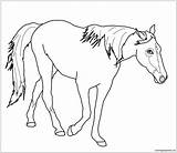 Horse Walking Pages Coloring Color sketch template