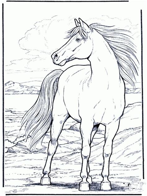 hard coloring pages  realistic horse  adults letscoloritcom