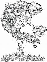Trees Pages Coloring Oak Getdrawings Watercolor sketch template