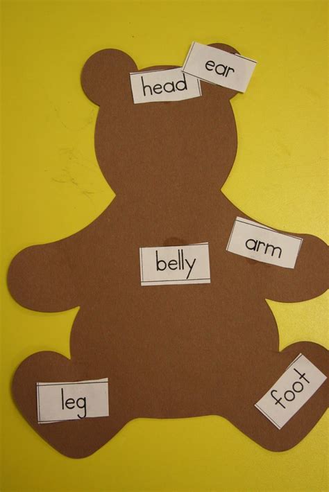 label  bear intro lesson  bear week teddy bear crafts