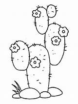 Cactus Coloring Pages Flower Printable sketch template