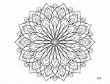 Coloring Flowers Pages Hard Flower Adults Adult Dahlia Printable Color Drawing Number Thistle Getdrawings Getcolorings Kids Sheets Difficult Designlooter Mining sketch template