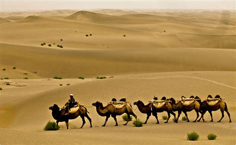 xinjiang at the heart of the silk road the new york times