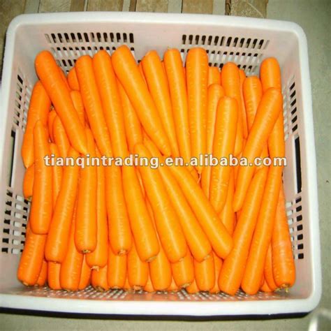 wholesale baby carrotschina tianqin price supplier food