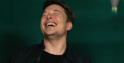 Elon Musk Hosts Pewdiepie S Meme Review In Ongoing T