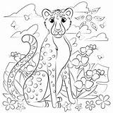 Cheetah Coloring Supercoloring sketch template