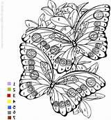 Papillon Magique Gratuit Bestof Benjaminpech Difficile Aplemontbasket sketch template
