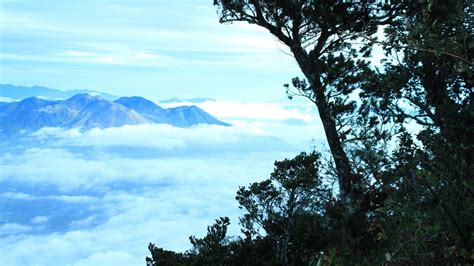 gunung cikuray kabupaten garut kecamatan cilawu propinsi jawa barat pemandangan gunung
