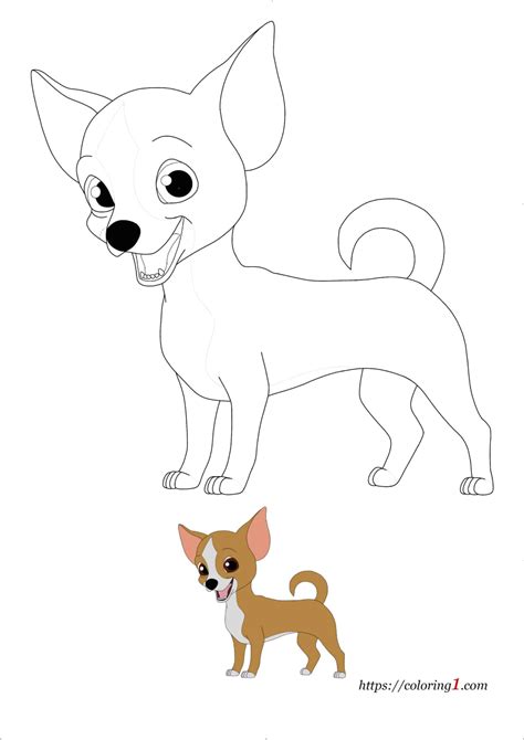 chihuahua dog coloring pages   coloring sheets   kids