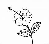 Bunga Sketsa Sepatu Matahari Tulip Terkeren Dibuat Mawar sketch template