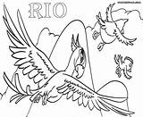 Rio Coloring Pages Nico Pedro sketch template