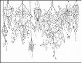 Coloring Hanging Plants Printable sketch template