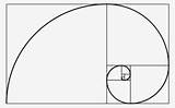 Fibonacci Coloring Pages Pngkey Transparent sketch template