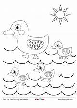 Worksheet Ducklings Ducks Kidzezone sketch template