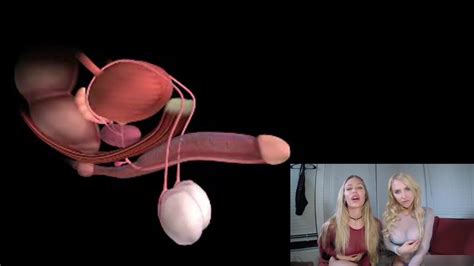 male orgasm anatomy explained educational joi xhamster