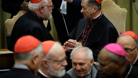 Vatican Sex Abuse Summit Cardinal Says Some Abuse Documents Destroyed