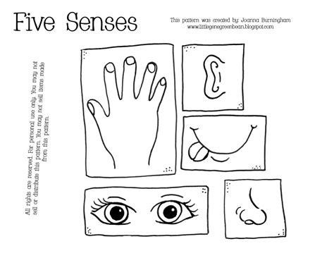 sense coloring pages  kids coloring home