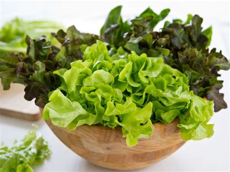 Salata Verde Planta Minune Care Te Ajuta In Aproape Orice Situatie