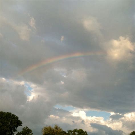 real rainbow rainbows pinterest