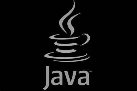 hardware networking advantages  java programming  software industry