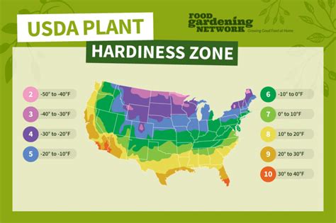 What Is My Usda Planting Zone Food Gardening Network