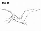 Pteranodon Draw Dinosaur Drawing Step Body Drawings How2drawanimals Lines Choose Board sketch template