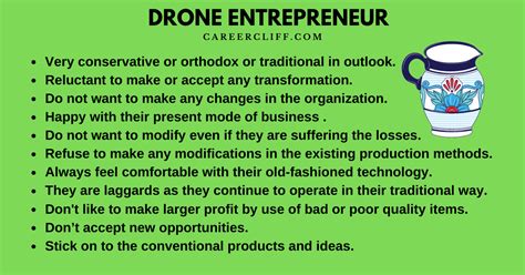 traits  drone entrepreneur      careercliff