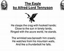Image result for The eagle alfred lord tennyson essay