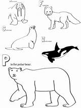 Arctic Polargebiete Preschoolers Artic Miniaturemasterminds Arktische Masterminds Antarctic Malvorlagen Tundra Requests Corrections Suggestions sketch template