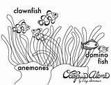 Anemone Coloring Sea Drawing Pages Getdrawings Print Color Printable Getcolorings Pag sketch template
