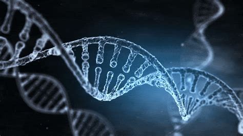 60 Year Scientific Mystery About Dna Replication Solved