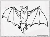 Pages Coloring Bat Cute Getcolorings Color sketch template