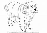 Newfoundland Dog Draw Drawing Step Dogs Tutorials sketch template