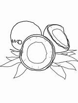 Coconut Coloring Pages Tree Printable Drawing Kids Color Categories Fruits Getcolorings Print Getdrawings Pag Recommended sketch template