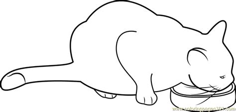 cat eating  food coloring page