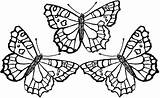 Coloring Pages Butterfly Monarch Print Shark Bear Brown sketch template
