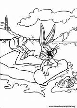 Patolino Pernalonga Looney Tunes sketch template