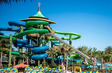 florida water park    thrilling