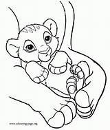 Coloring Baby Lion King Pages Simba Cub Kids Disney Colouring Arms His Mother Print Printable Color Cubs Clipart Template Nala sketch template