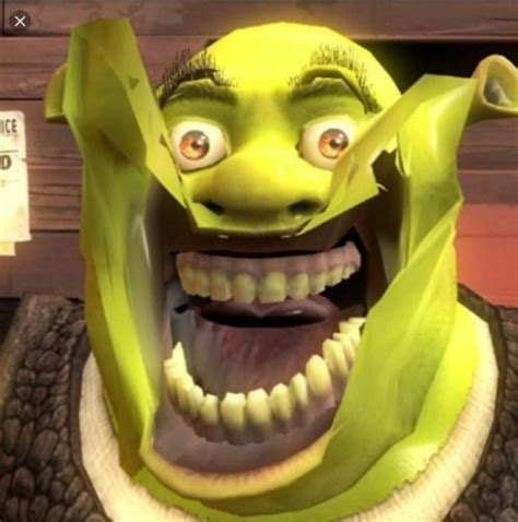 Shrek Dank Memes Amino