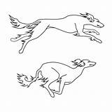 Saluki Running Vector Illustrations Breed Poses Dogs Two Stock Clip Contour sketch template