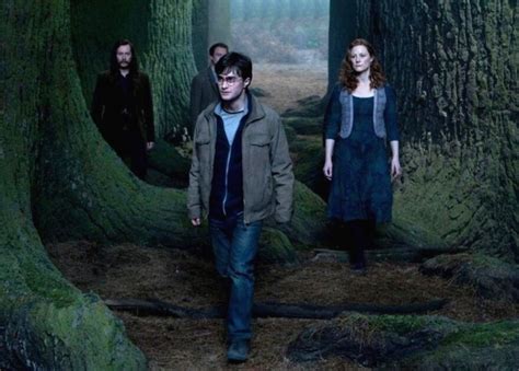 the case for why harry potter should have held onto the resurrection stone