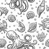 Koraal Garnalen Krab Overzeese Granchio Conchiglia Gamberetto Corallo Polipo Octopus Illustraties Geïsoleerdj Uitstekende Vastgestelde Metta Patroon Naadloze sketch template
