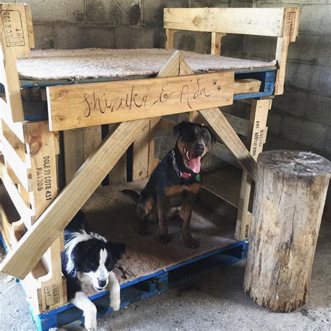 diy recycled pallet dog beds plans ideas  pallets pallet dog beds outdoor dog bed