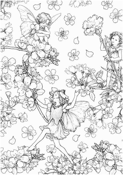 coloring page flower fairies  fairy coloring book fairy